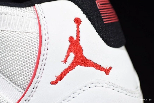 Platinum Tint 378037-016 Jordan Retro 11 Air 0615